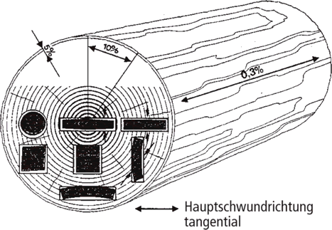 Schwundmaße am Holz